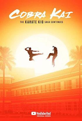 Cobra Kai – Netflix Original (2018) Season 1 Dual Audio {Hindi-English} 480p [100MB] | 720p [300MB] WEB-DL