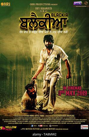 Blackia (2019) Dual Audio {Hindi-Punjabi} 480p [500MB] | 720p [1.4GB] | 1080p [2.8GB]