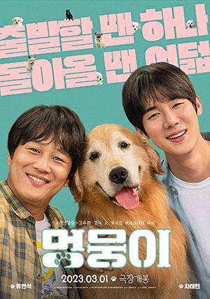 My Heart Puppy (2023) Dual Audio [Hindi + Korean] WeB-DL 480p [350MB] | 720p [1GB] | 1080p [2.2GB]